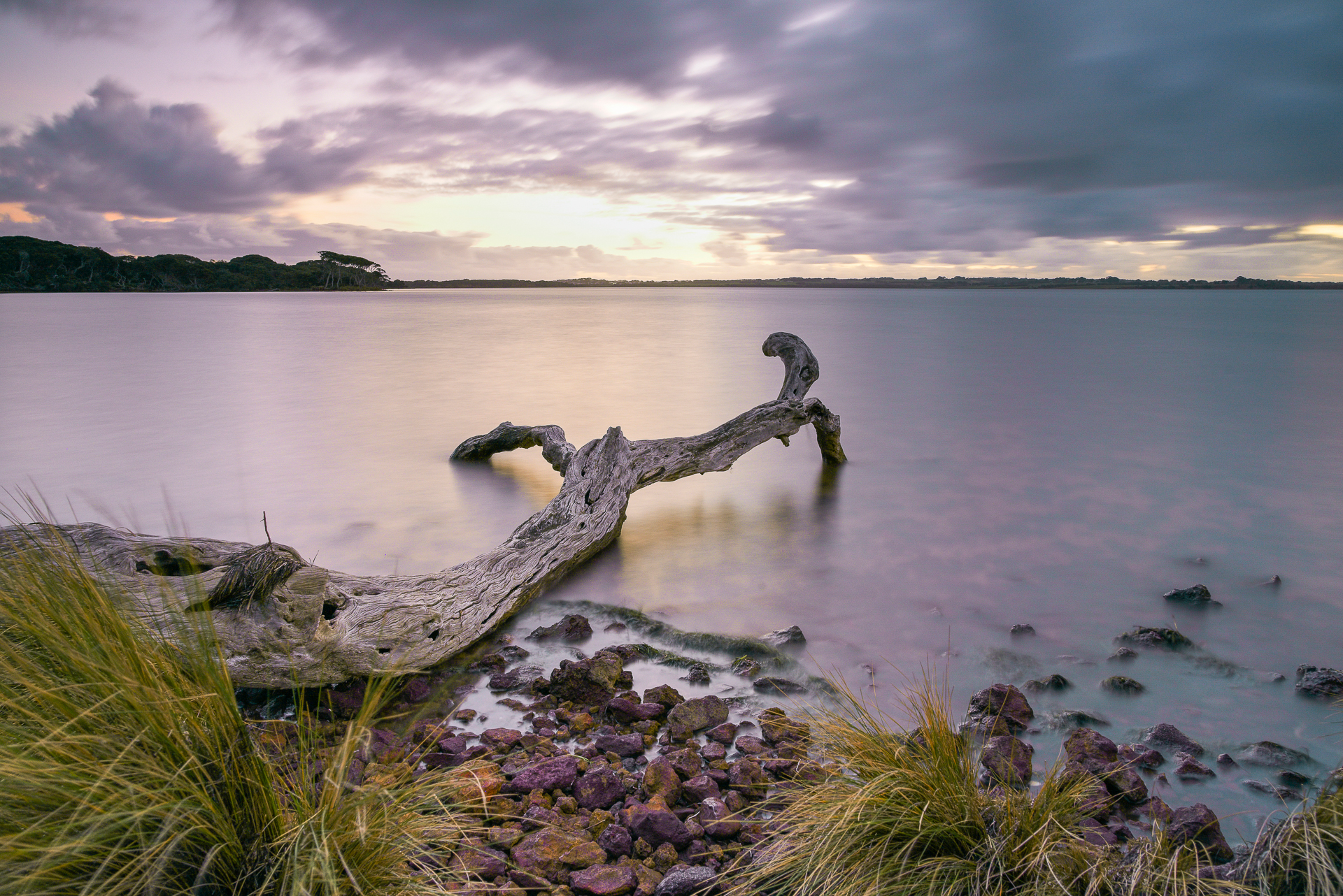 a log lying on a stony beach