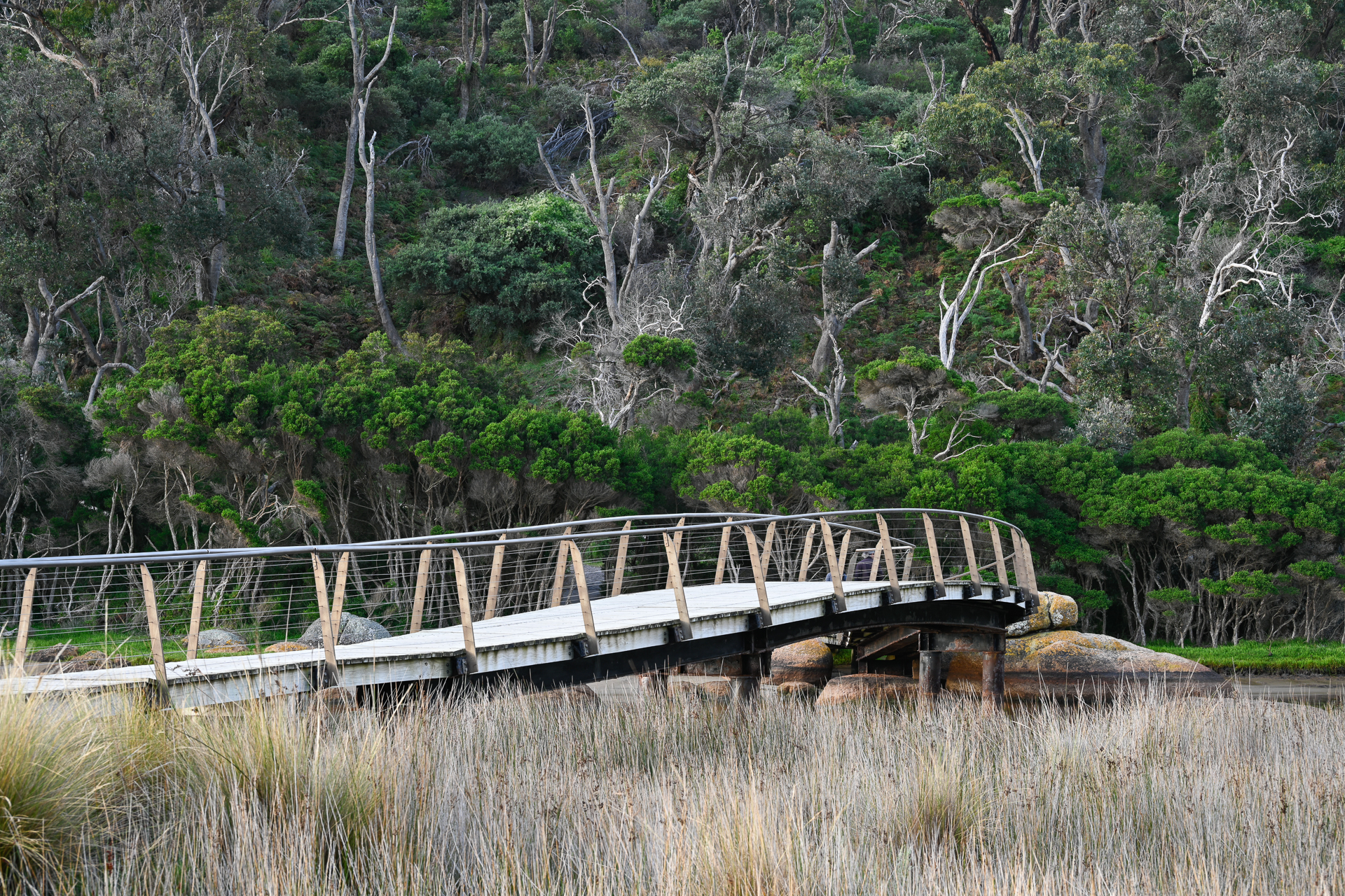 a walkway over a creek below a wooded slope