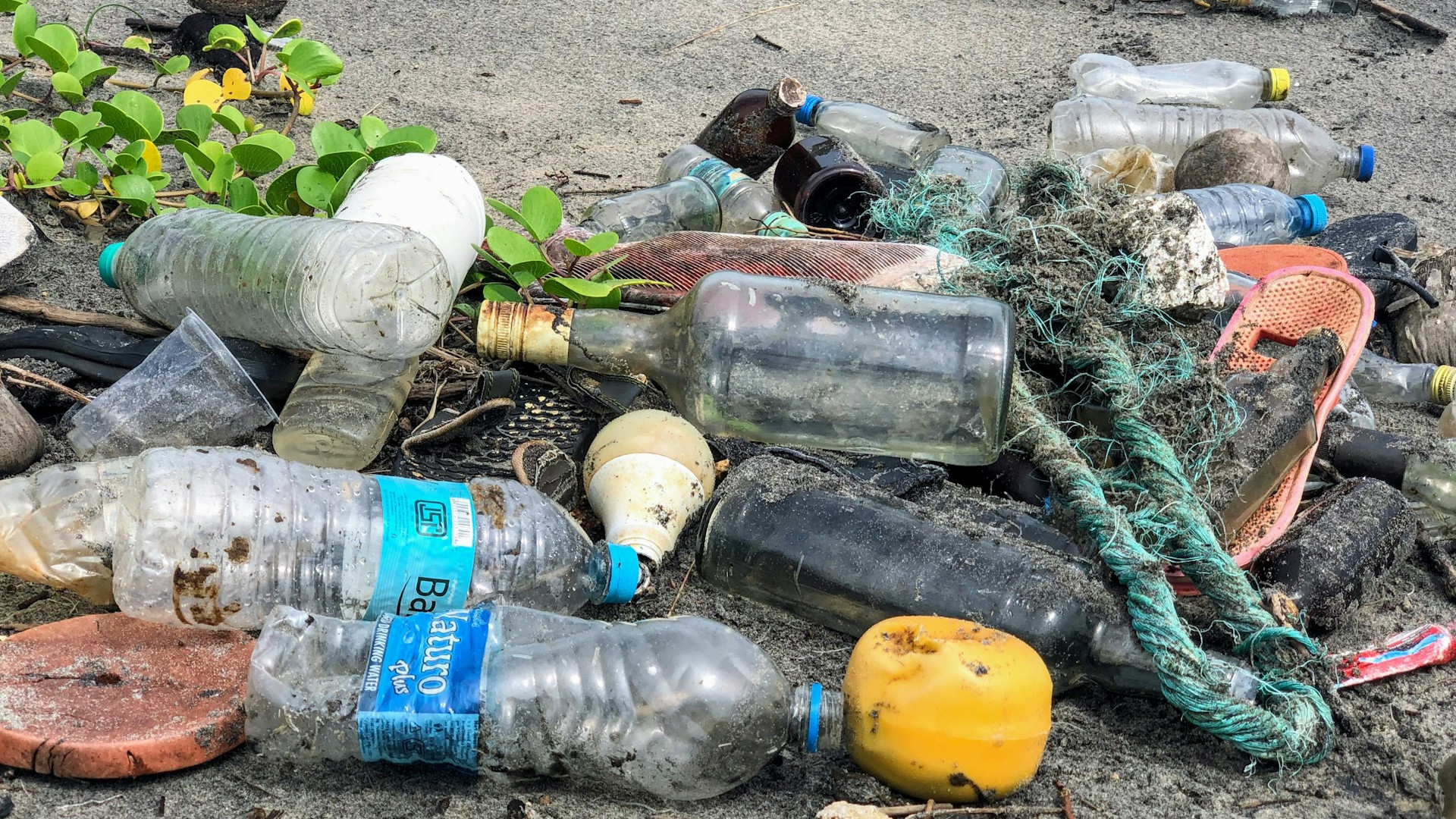 protect from rubbish on a beach